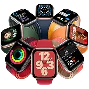 watches